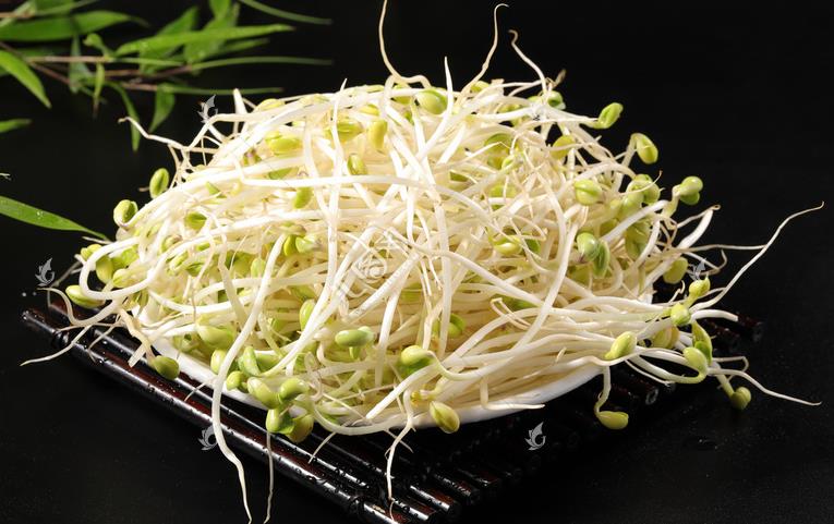 无公害绿色豆芽，怎么生产出来的？全套生产过程如此方便智能